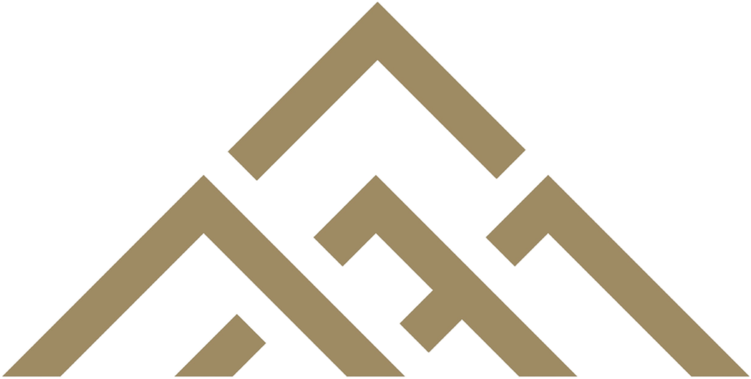 Denali Electric LLC Logo